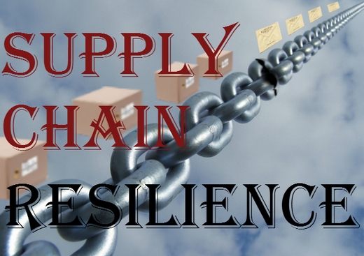 Resilient Supply Chain